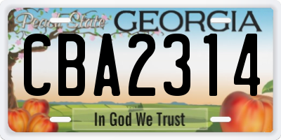 GA license plate CBA2314