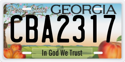 GA license plate CBA2317