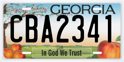 GA license plate CBA2341