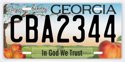 GA license plate CBA2344