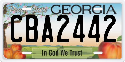 GA license plate CBA2442