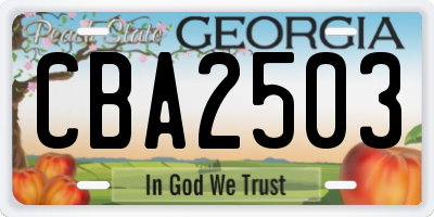 GA license plate CBA2503