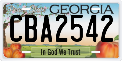 GA license plate CBA2542