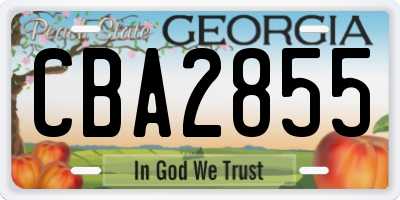 GA license plate CBA2855