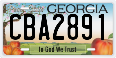 GA license plate CBA2891