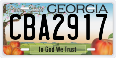 GA license plate CBA2917