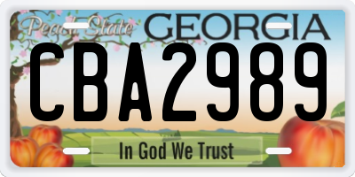 GA license plate CBA2989