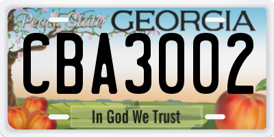 GA license plate CBA3002