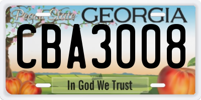 GA license plate CBA3008