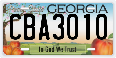 GA license plate CBA3010