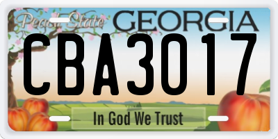 GA license plate CBA3017