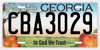 GA license plate CBA3029