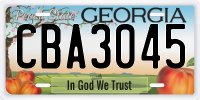 GA license plate CBA3045