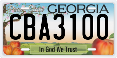 GA license plate CBA3100