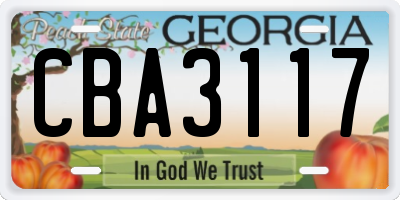 GA license plate CBA3117