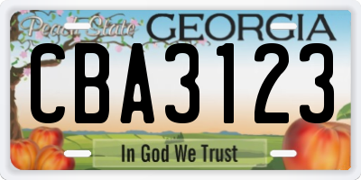 GA license plate CBA3123