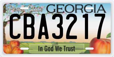 GA license plate CBA3217