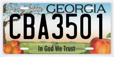 GA license plate CBA3501
