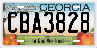 GA license plate CBA3828