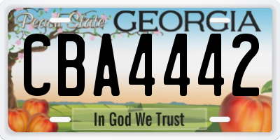 GA license plate CBA4442