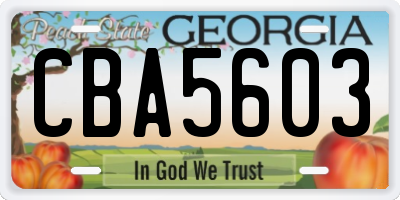 GA license plate CBA5603