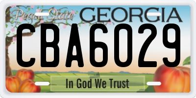 GA license plate CBA6029