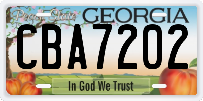 GA license plate CBA7202