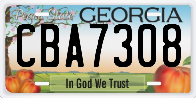 GA license plate CBA7308