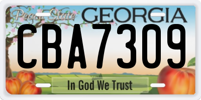 GA license plate CBA7309