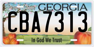 GA license plate CBA7313