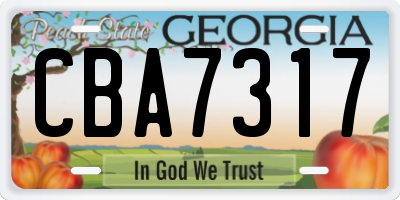 GA license plate CBA7317