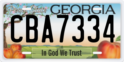 GA license plate CBA7334