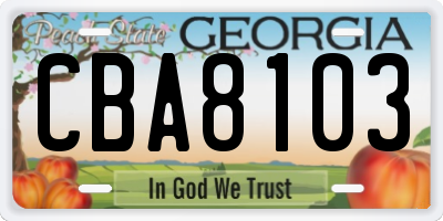 GA license plate CBA8103
