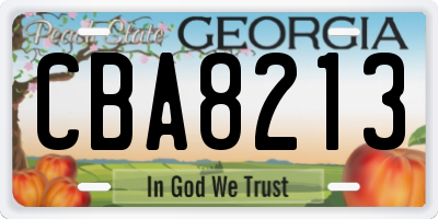 GA license plate CBA8213