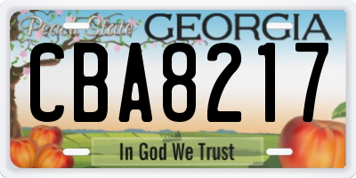 GA license plate CBA8217