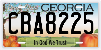 GA license plate CBA8225