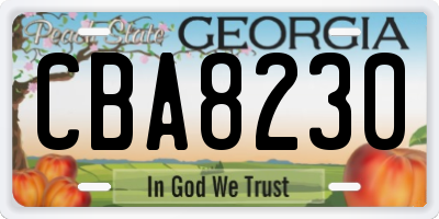 GA license plate CBA8230