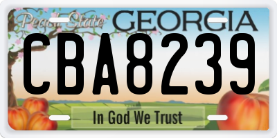 GA license plate CBA8239