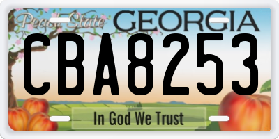 GA license plate CBA8253