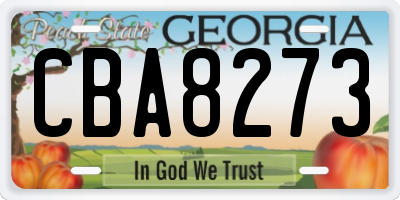 GA license plate CBA8273