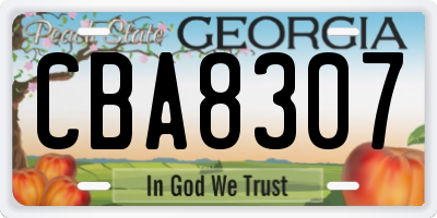 GA license plate CBA8307