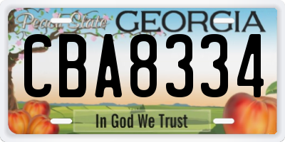 GA license plate CBA8334