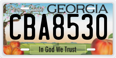 GA license plate CBA8530