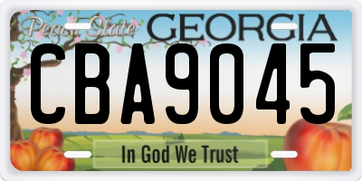 GA license plate CBA9045