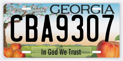 GA license plate CBA9307