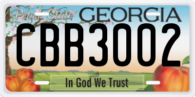 GA license plate CBB3002