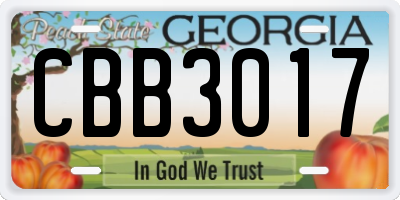 GA license plate CBB3017