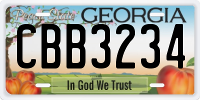 GA license plate CBB3234