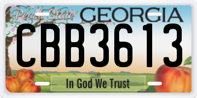 GA license plate CBB3613