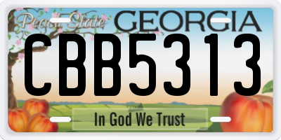 GA license plate CBB5313